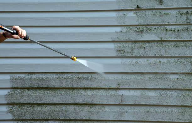 Animal Enclosure Cleaning in Sandpoint, ID